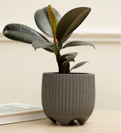Sunbeam Grey Terracotta Desk Pot by Purezento