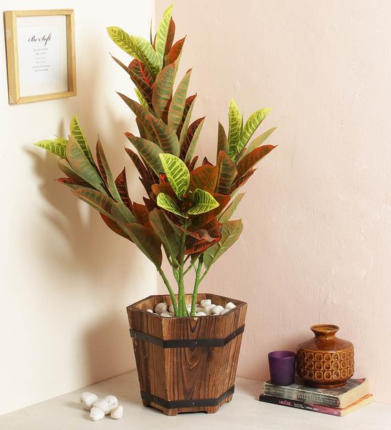 Wallpaper Buy Green Decorative Artificial Croton Floor Plant Without Pot By Free