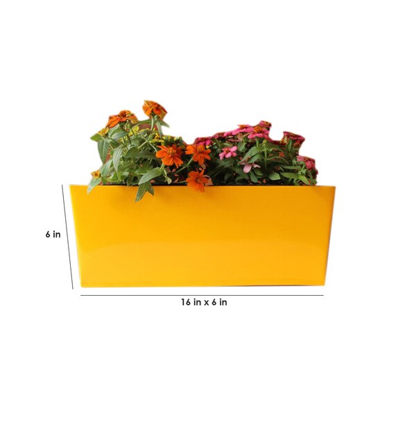 Buy Yellow Rectangular Box Planter by Green Gardenia Online Big