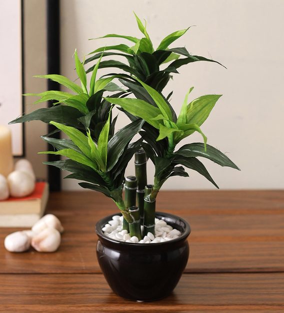 Buy Green Plastic Bamboo House Plant With Pot By Aapno Rajasthan Online Artificial Plants Artificial Plants Home Decor Pepperfry Product