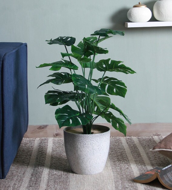 Buy Green Plastic with Pvc Coating Miniature Artificial Plant without Pot by Fourwalls Online