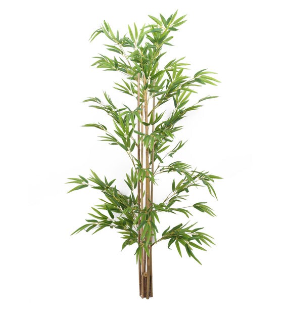 Buy Green Polyster Decorative Artificial Bamboo Floor Plant without Pot