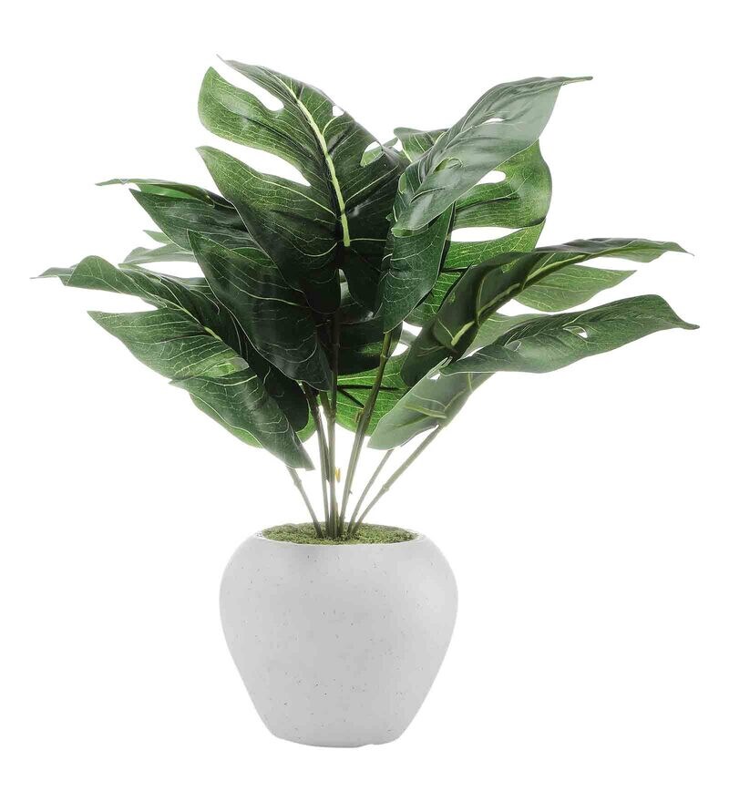 Buy Green 9 Large Leaves Artificial Money Plant with Pot by Foliyaj