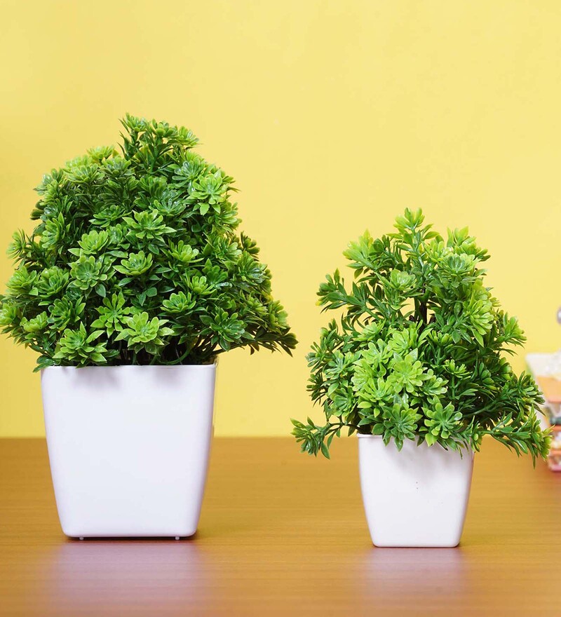 Buy Green Artificail Plant with Pot Set of 2 By Dekorly Online