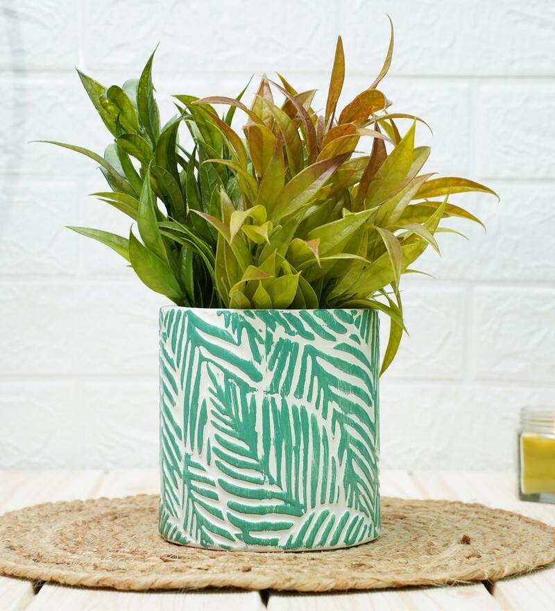 Buy Green Ceramic Leaf Planter By Gold Dust Online Desk Pots Pots