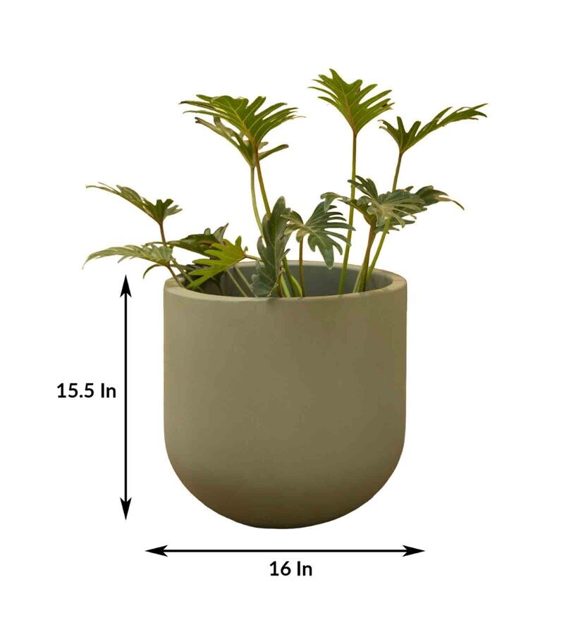 Buy Green Concrete Sage Sage Large Floor Planter By Curiocasa Online