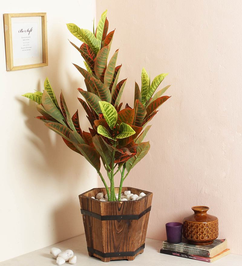 Buy Green Decorative Artificial Croton Floor Plant without Pot by Fourwalls Online Artificial