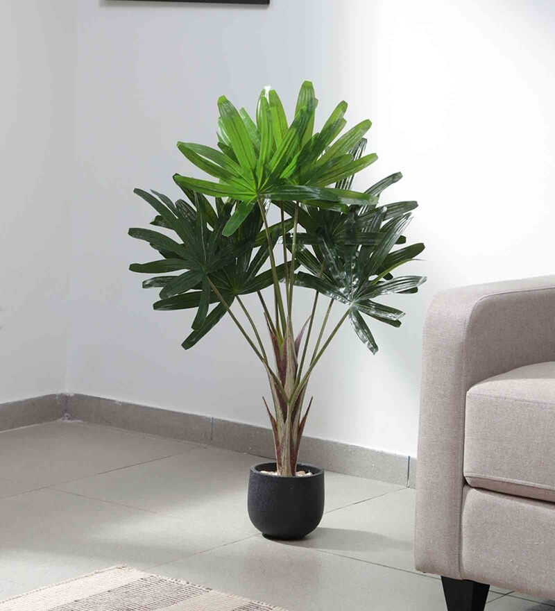 Buy Plastic Green Rhapis Artifical Without Pot Artificial Plants Online Artificial Plants