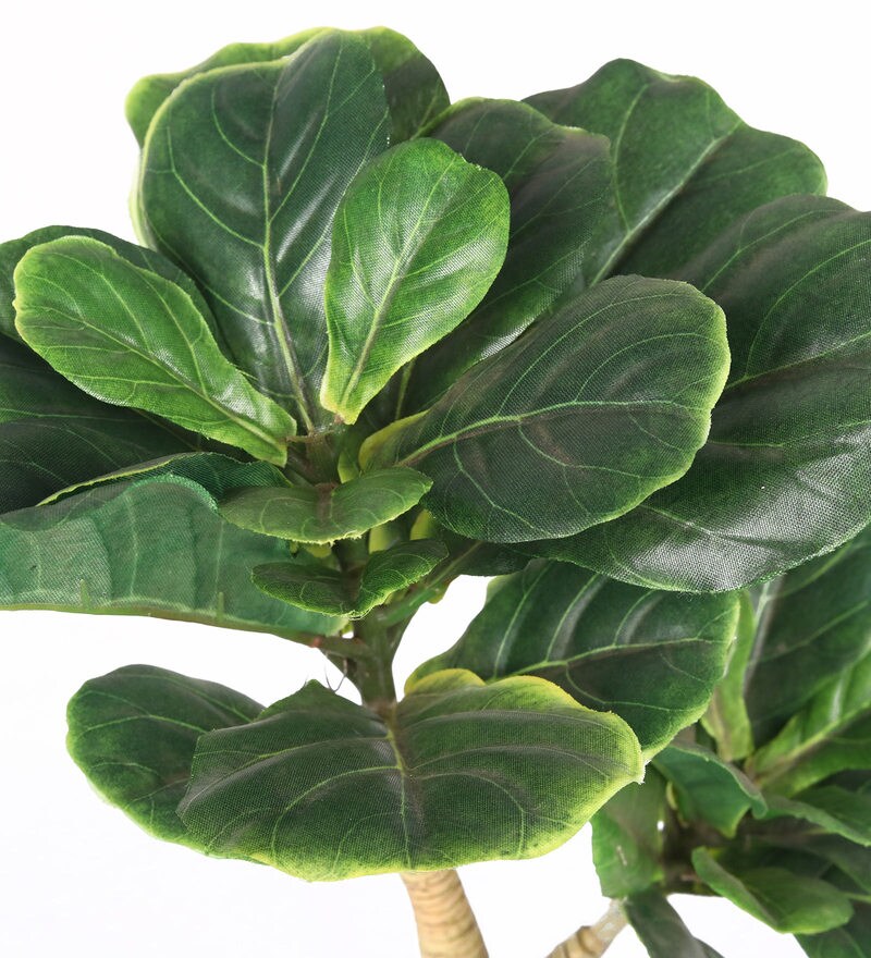 Buy Green Polyester Artificial Plant With pot by Pollination Online Artificial Plants