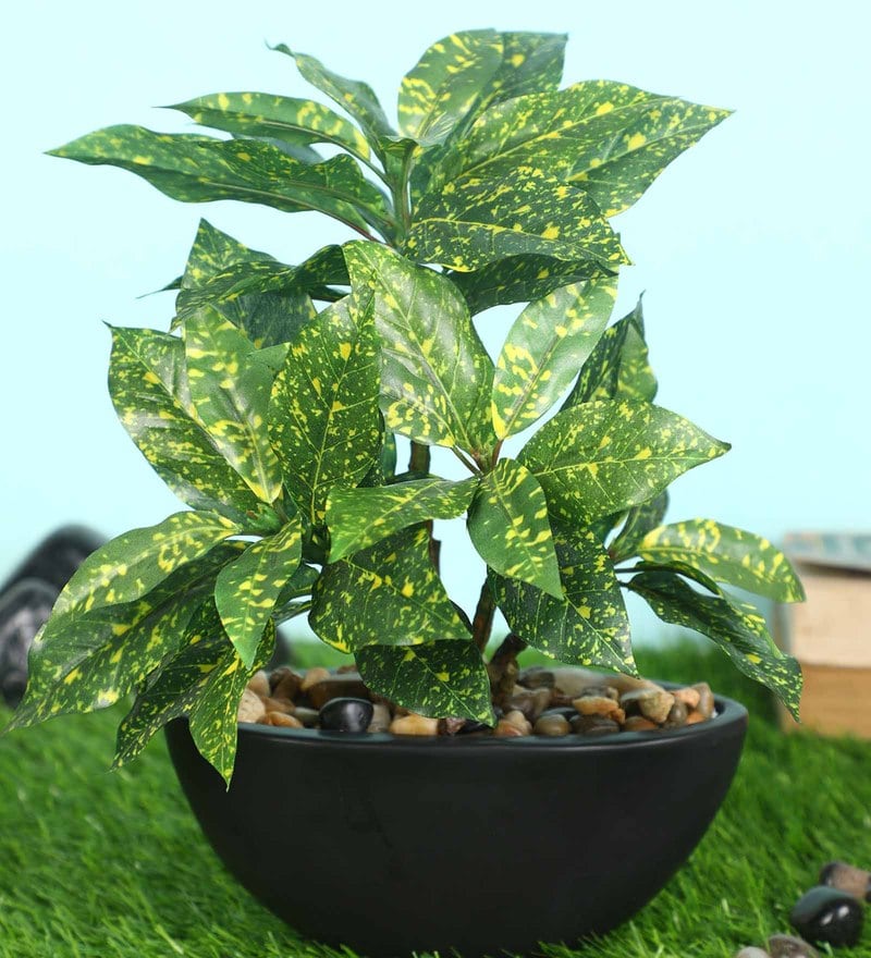 Buy Green Polyester Artificial Plant With pot by Pollination Online