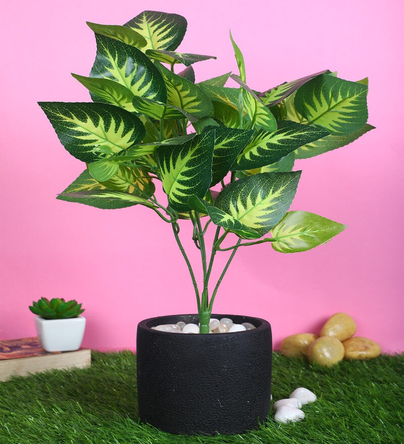 Buy Green Polyester Artificial Plant Without Pot by Pollination Online Artificial Plants