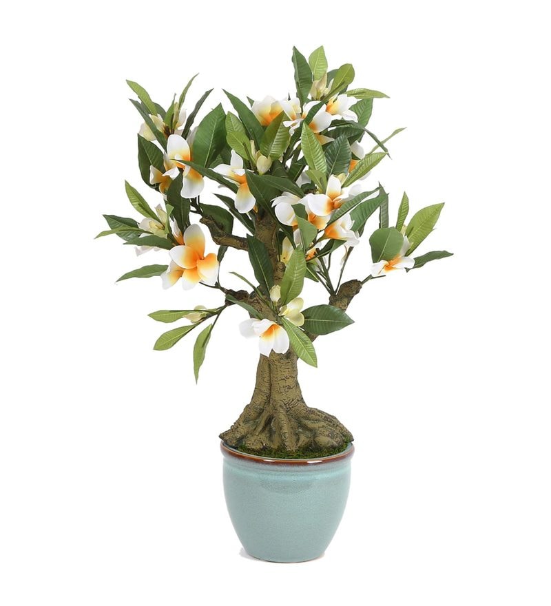 Buy Green Polyester Frangipani Artificial Plant With Ceramic Pot By Fourwalls Online