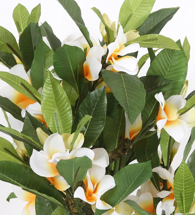 Buy Green Polyester Frangipani Artificial Plant With Ceramic Pot By