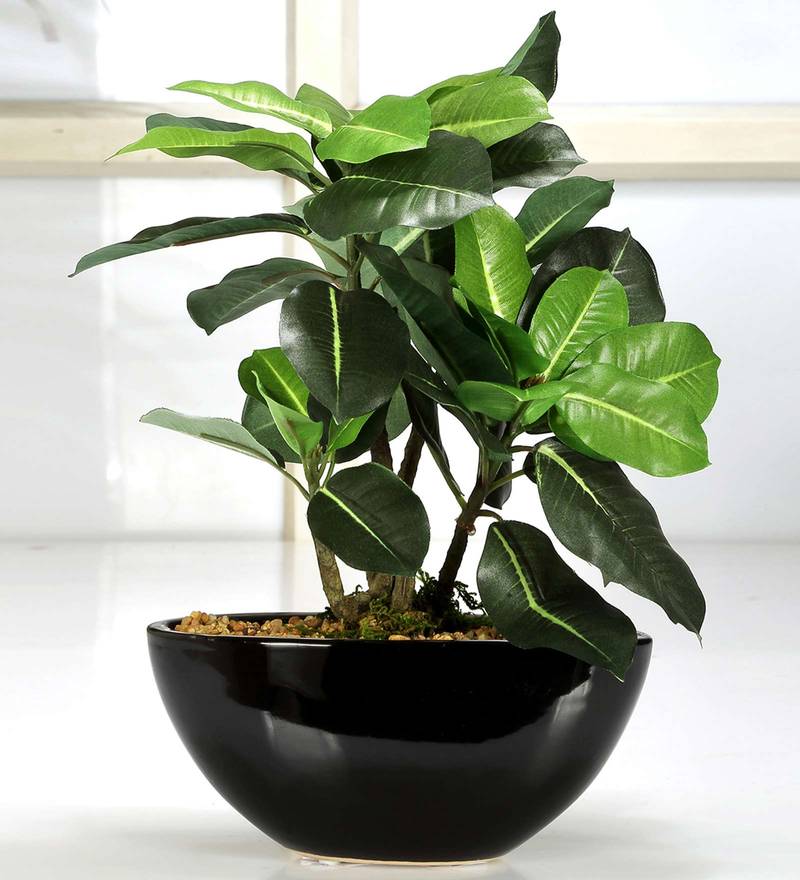 Buy Green Polyester Natural Looking Quercus Bonsai Artificial Plant