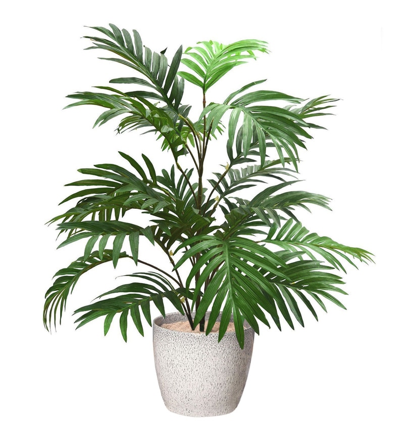 Buy Green 21 Leaves Synthetic Areca Artificial Plant without Pot by