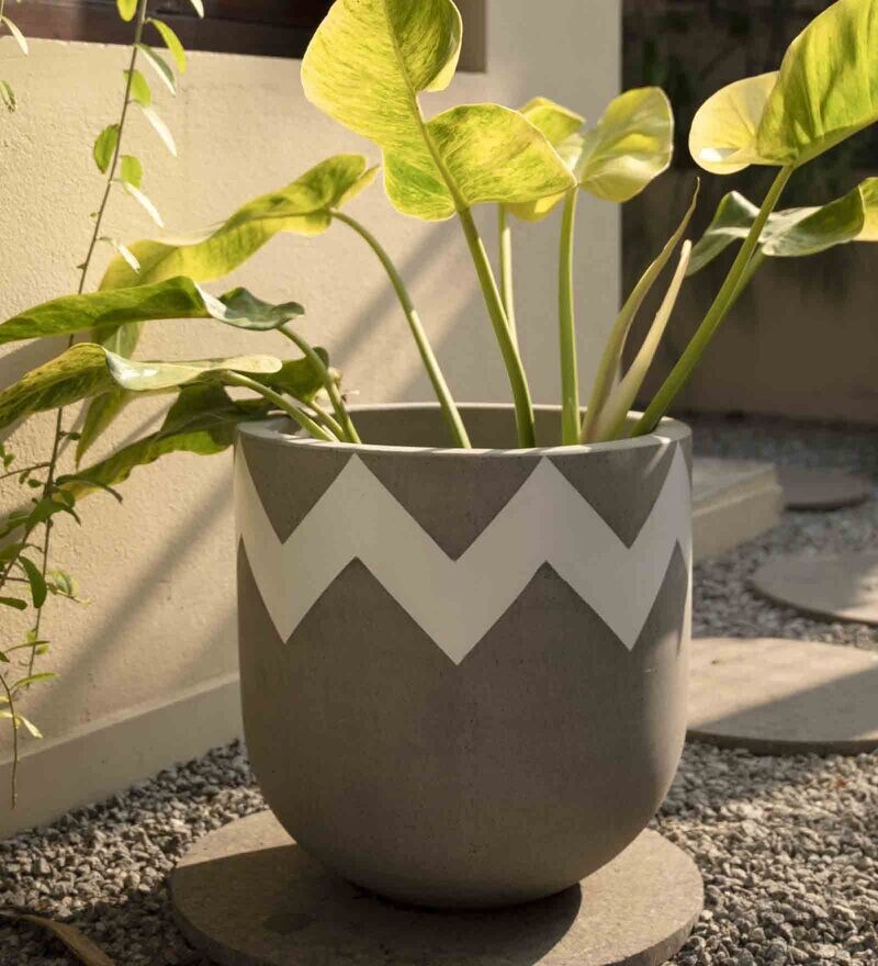 Buy Grey Concrete Insignia Large Floor Planter By Curiocasa Online