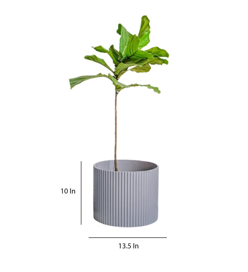 Buy Grey Large Midori Planter By Ripples Home Online Big Planters Pots & Planters Home