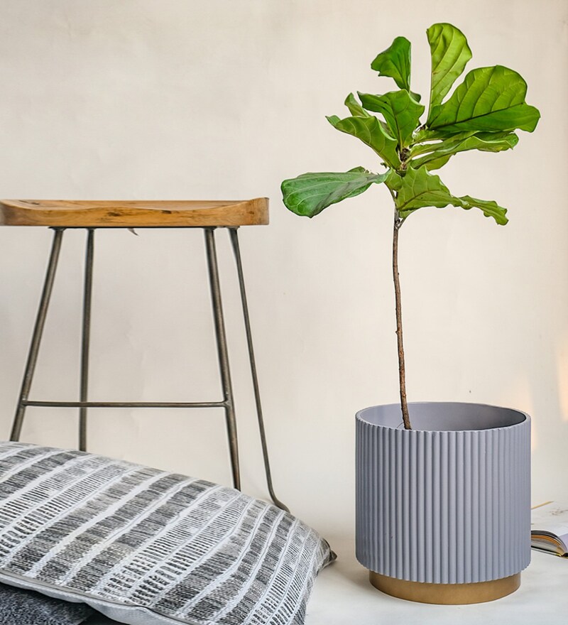 Buy Grey Large Midori Planter With Base By Ripples Home Online Big