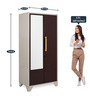 Grace 2 Door Metal Almirah with Mirror in Brown Colour
