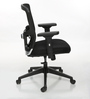 Gracia Mid Back Ergonomic Chair in Black Colour