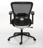 Gracia Mid Back Ergonomic Chair in Black Colour