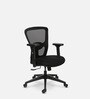 Gracia Mid Back Ergonomic Chair in Black Colour