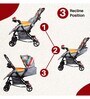 Grand Supreme 3 In 1 Baby Stroller With Rocker In Multi Colour