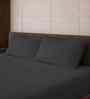 Granite Gray Solid 500 TC Pure Cotton King Fitted Bedsheet with 2 Pillow Covers