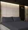 Granite Gray Solid 500 TC Pure Cotton King Fitted Bedsheet with 2 Pillow Covers