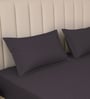 Granite Gray Stripe 300 TC Pure Cotton King Fitted Bedsheet with 2 Pillow Covers