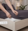 Granite Gray Stripe 300 TC Pure Cotton King Fitted Bedsheet with 2 Pillow Covers