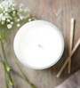 Grape Scented Diwali Festive Gifting Glass Jar Candle