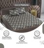 Graphite Shade Floral 144 Tc Cotton Double Bedsheet With 2 Pillowcovers
