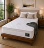 Gravity Cool EutoTop Hybrid 5 Zone 7 Layered 6 Inch Pocket Spring & Latex Mattress In Queen Size Gravity Cool EutoTop Hybrid 5 Zone 7 Layered 6 Inch Pocket Spring & Latex Mattress In Queen Size