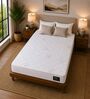 Gravity Cool EutoTop Hybrid 5 Zone 7 Layered 8 Inch Pocket Spring & Latex Mattress In Single Size Gravity Cool EutoTop Hybrid 5 Zone 7 Layered 8 Inch Pocket Spring & Latex Mattress In Single Size