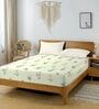 Green & Cream Glace Cotton Floral Print Elastic Fitted King Bedsheet With 2 Pillow Covers
