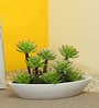 Green & White Abs Plastic Artificial Plant with Pot