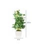 Polyester Green & White Pothos With Ceramic Pot Artificial Plants