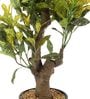 Green & Yellow Polyester Croton Artificial Plant With Ceramic Vase