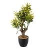 Green & Yellow Polyester Croton Artificial Plant With Ceramic Vase