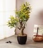 Green & Yellow Polyester Croton Artificial Plant With Ceramic Vase