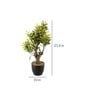 Green & Yellow Polyester Croton Artificial Plant With Ceramic Vase