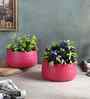 Green  Textured Flower Pot Set of 2
