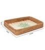 Green  Cane Rectangular Serving Tray