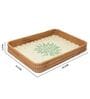 Green  Cane Rectangular Serving Tray