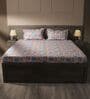 Green 144TC Cotton Flat Super King Bedsheet with 2 Pillow Covers