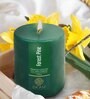 Forest Pine Soy Wax Scented Pillar Candle