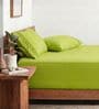 Green 210 TC Cotton King Size Bedsheet with 2 Embroidered Pillow Covers