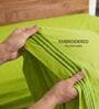 Green 210 TC Cotton King Size Bedsheet with 2 Embroidered Pillow Covers
