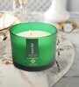 Forest Pine 3 Wick Soy Wax Scented Candle